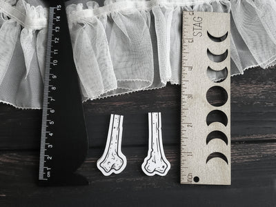 Bones Magnetic Bookmark set